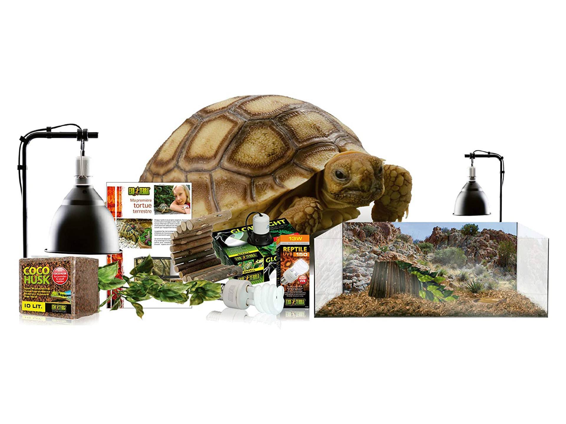 Kit complet terrarium pour tortue de terre pas cher 60 cm Exo Terra cinquième