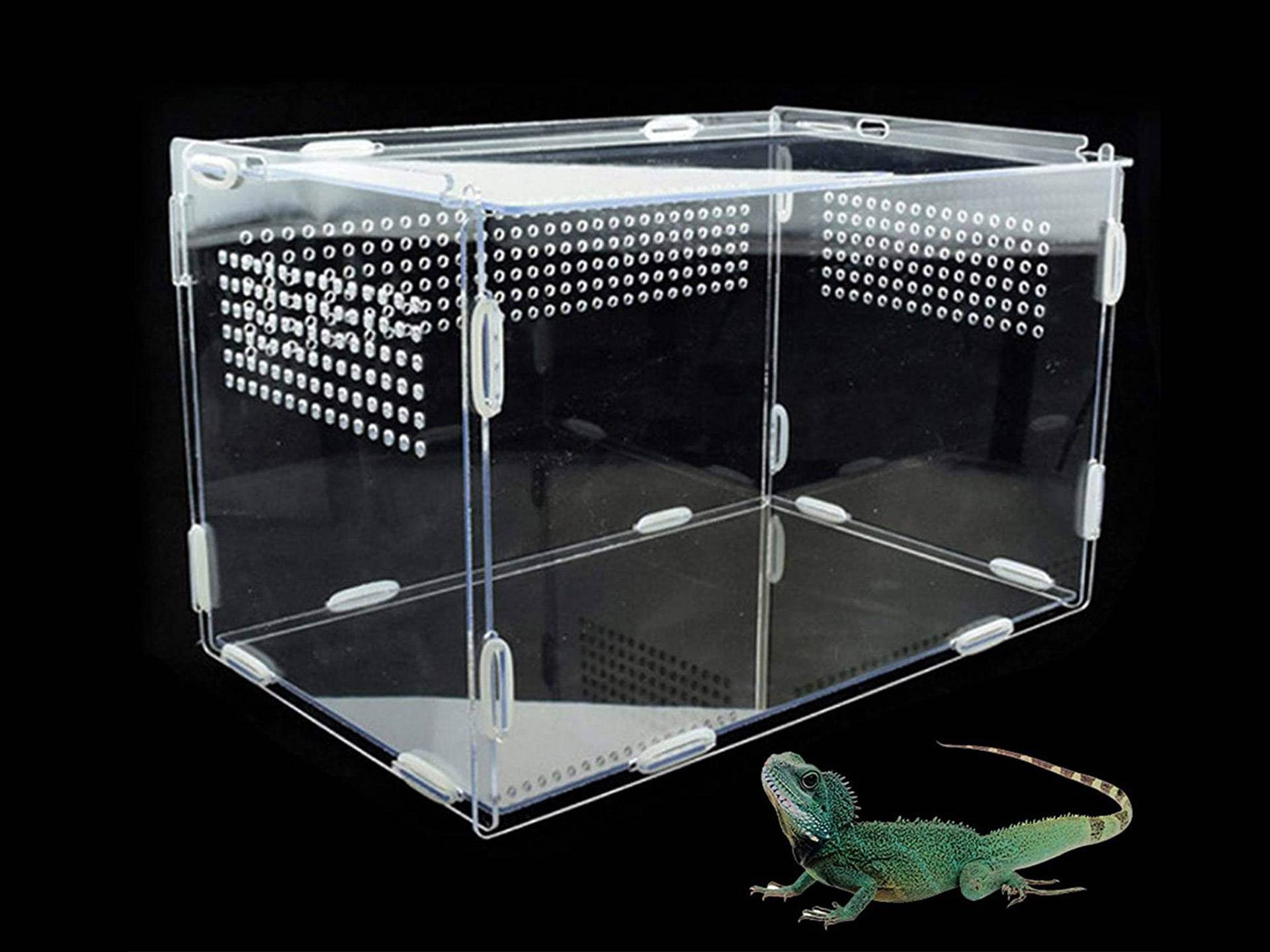 Boîte acrylique pour reptile transparente 33.5 cm Awayhall deuxième