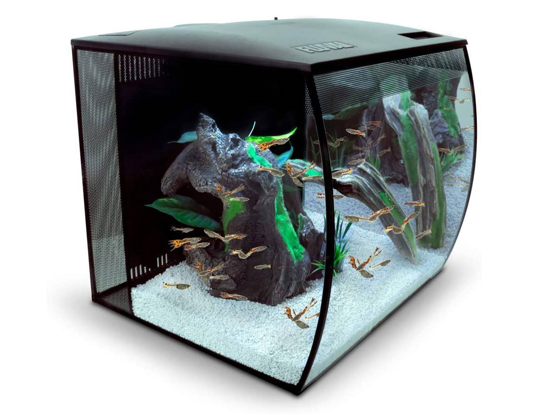 Aquarium tortue d'eau douce avec vitre concave 57 litres et led Fluval  huitième