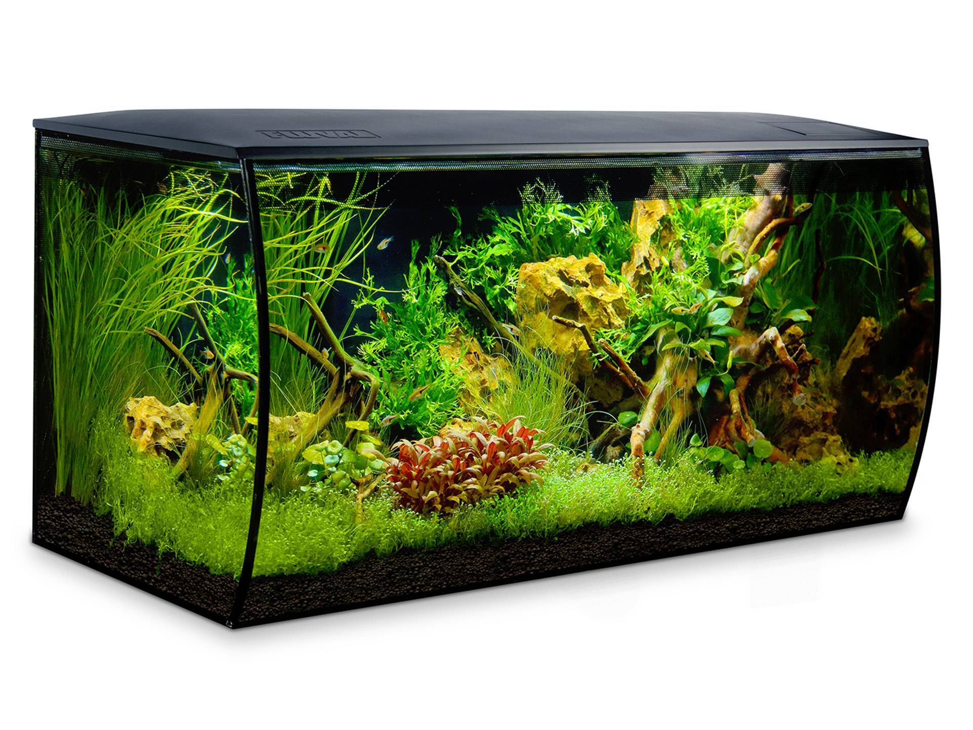Aquarium pour tortue d'eau avec design courbé 123 litres Fluval  deuxième