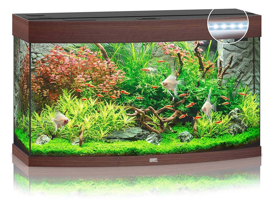 Aquarium poisson et tortue couleur bois foncé 180 litres Juwel 