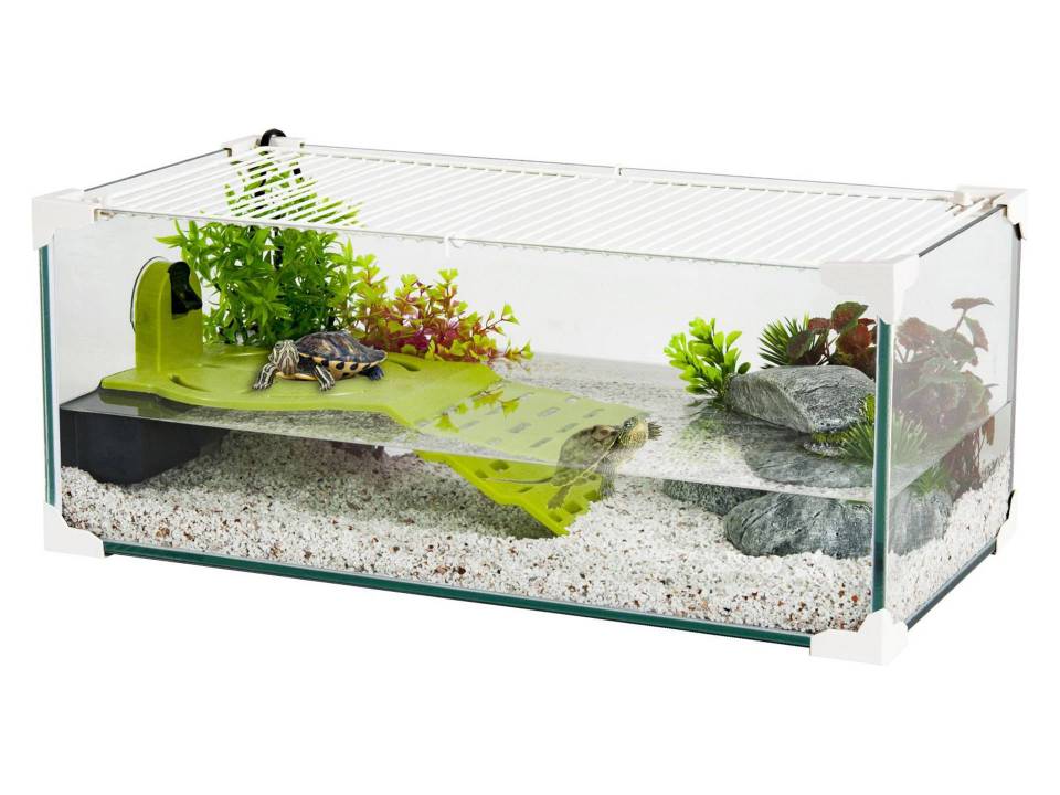 Aquarium pour tortue pelusios castaneus 60 cm Zolux Karapas