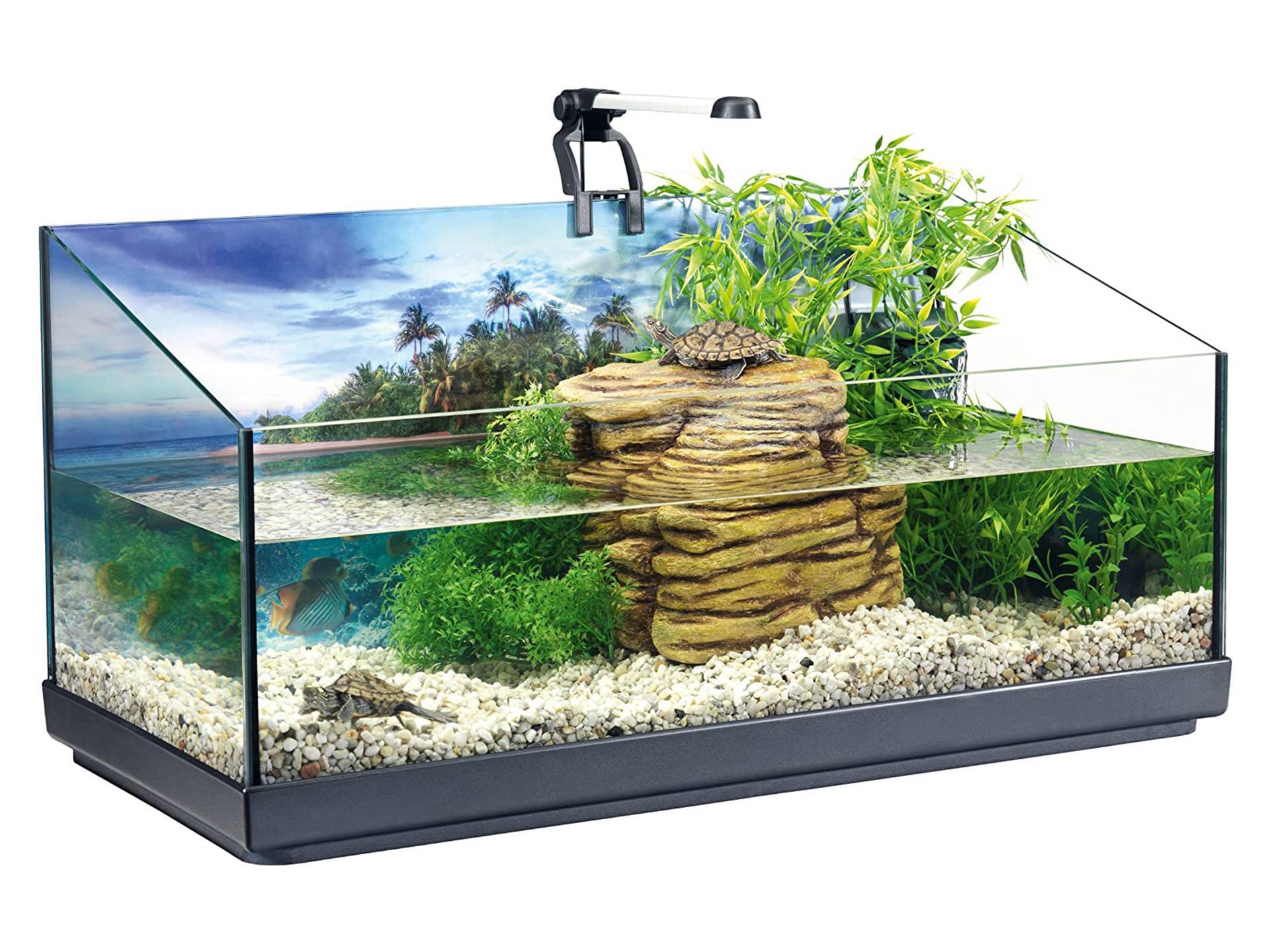 Aquaterrarium tortue avec accessoires 80 litres Tetra Repto AquaSet quatrième