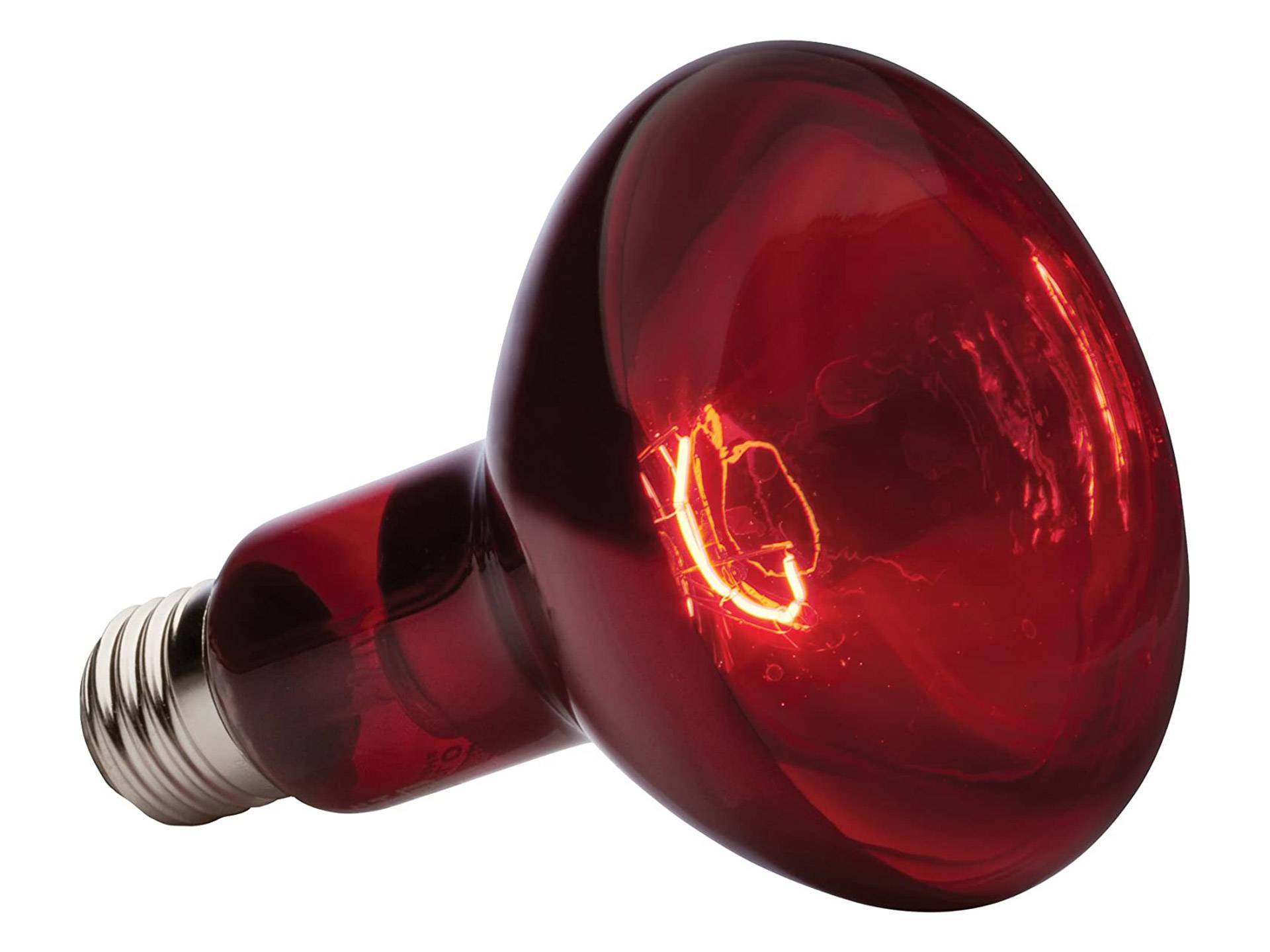 Lampe chauffante infrarouge 150 watts Exo Terra première