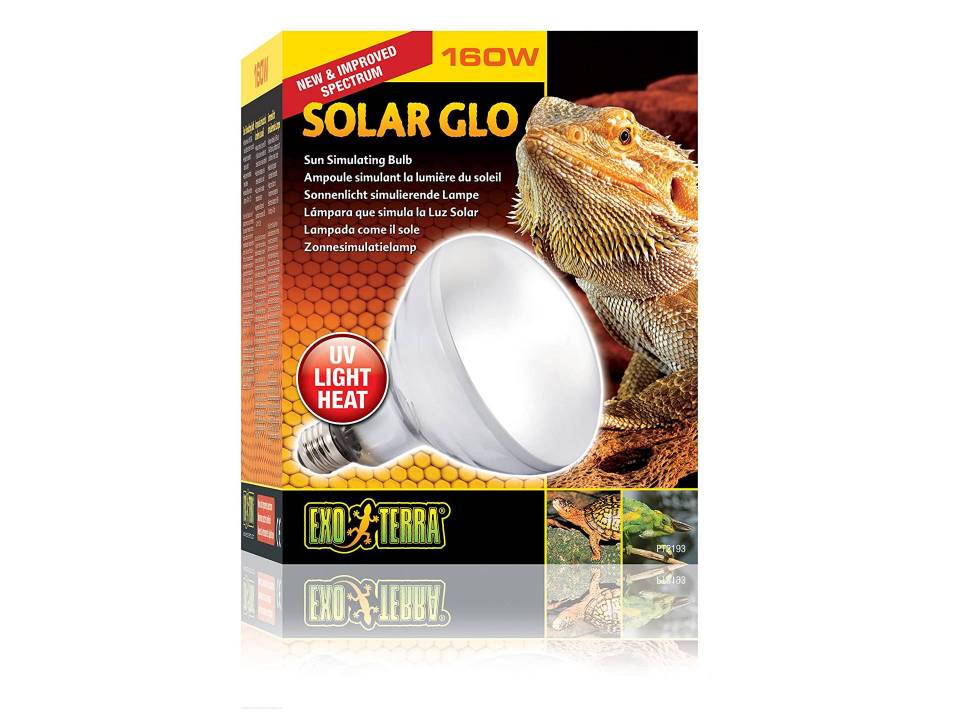 Lampe UV et chauffante pour tortue de terre 160 watts Exo Terra Solar Glo