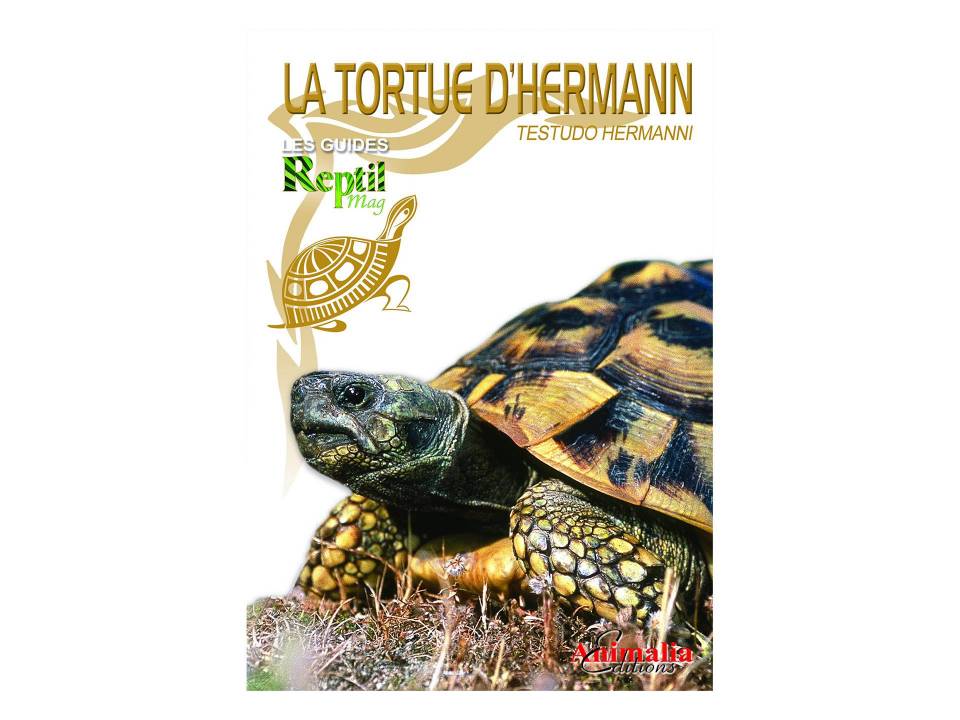Livre La tortue d'Hermann Testudo hermanni Michael Schardt